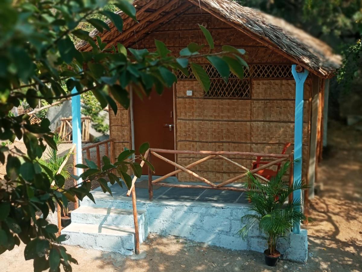Hampi Nature Cottage Zewnętrze zdjęcie