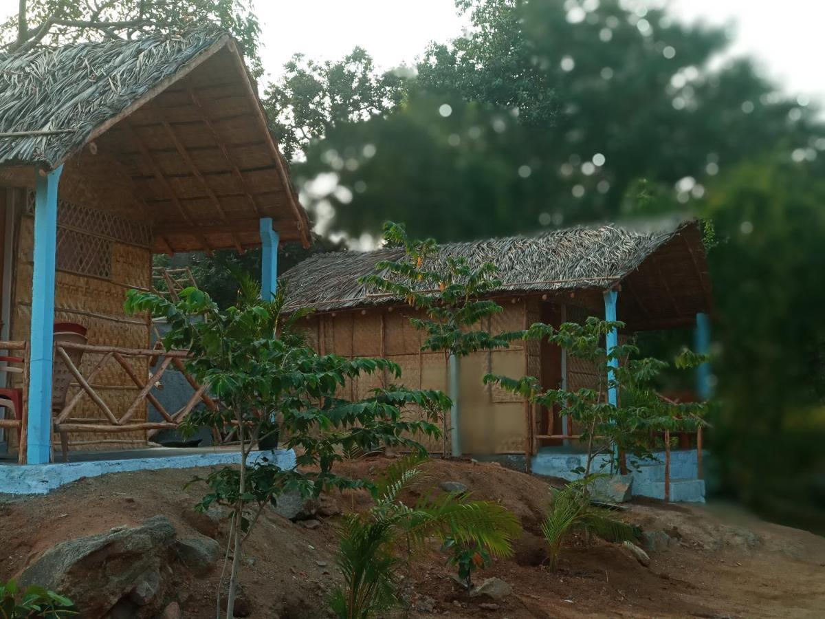 Hampi Nature Cottage Zewnętrze zdjęcie