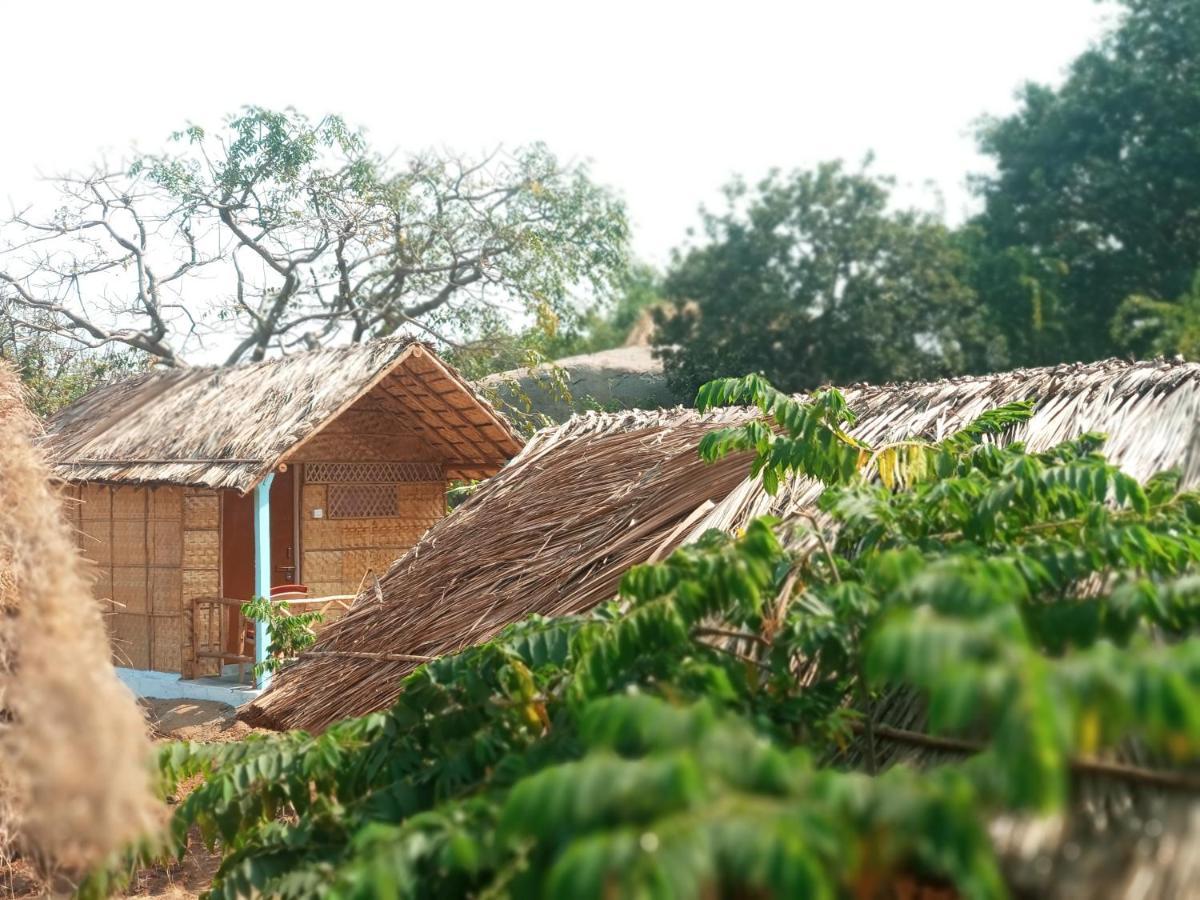 Hampi Nature Cottage Zewnętrze zdjęcie