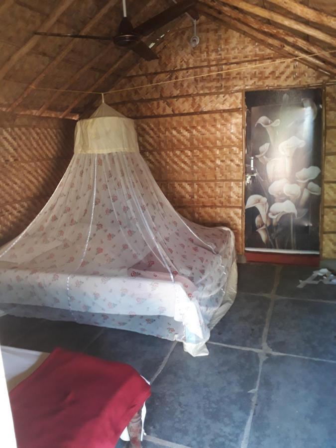 Hampi Nature Cottage Zewnętrze zdjęcie